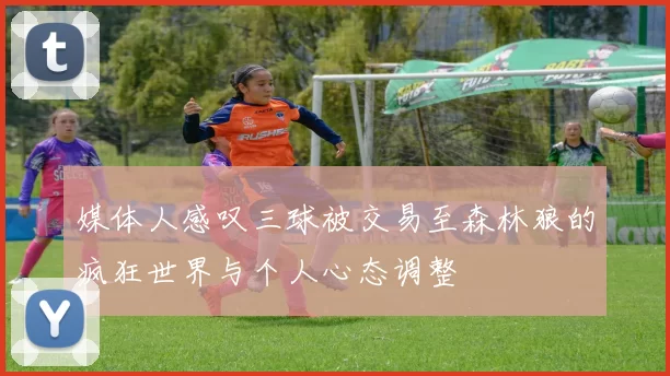 媒体人感叹三球被交易至森林狼的疯狂世界与个人心态调整